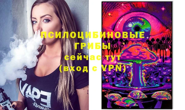тгк Инсар