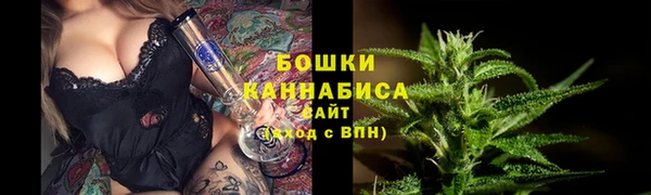 МДПВ Бородино