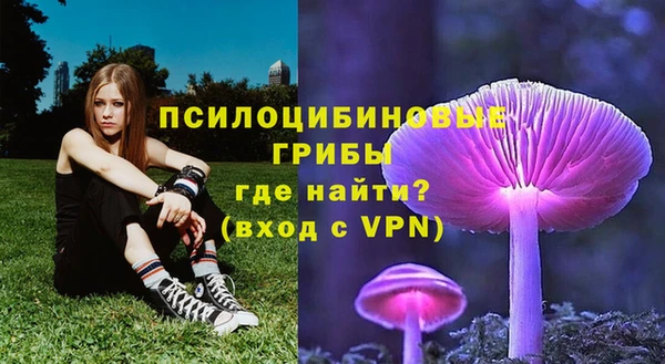 МДПВ Бородино