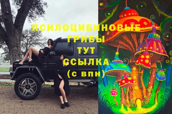 спиды Богородицк