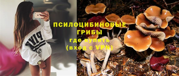 мяу мяу кристалл Богданович