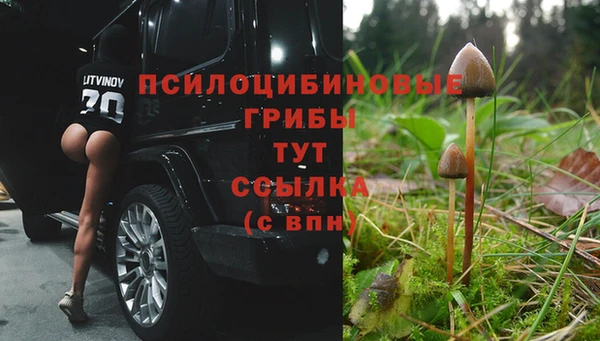 спиды Богородицк
