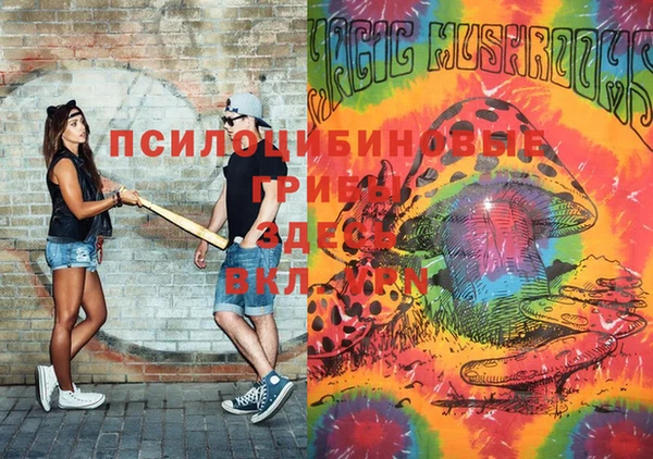 ПСИЛОЦИБИНОВЫЕ ГРИБЫ Богородск