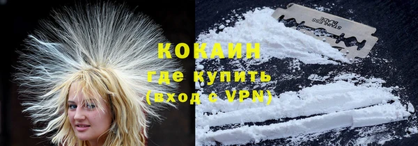 спиды Богородицк