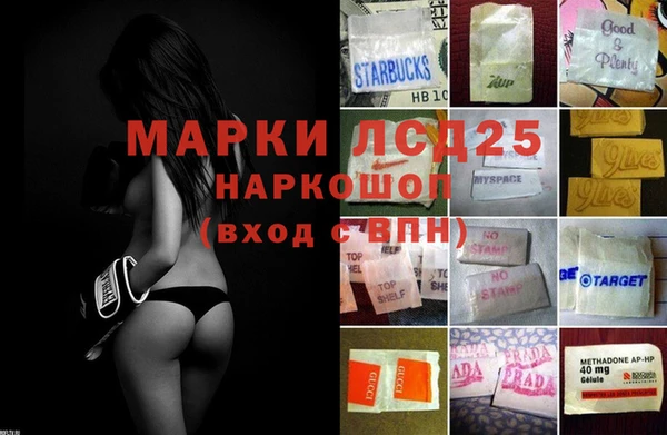 спиды Богородицк