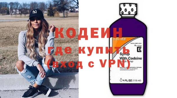 спиды Богородицк
